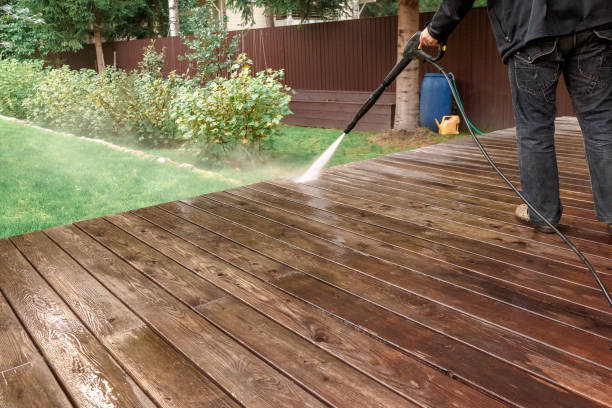 Best Soft Washing  in Baileyton, AL